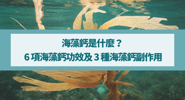 海藻鈣是什麼？一文搞懂 6 項海藻鈣功效及 3 種海藻鈣副作用